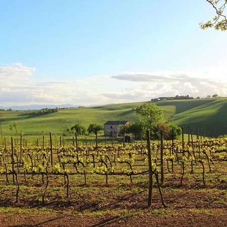Luxurious Mansion With Private Garden In Montecassiano * Giuliodori