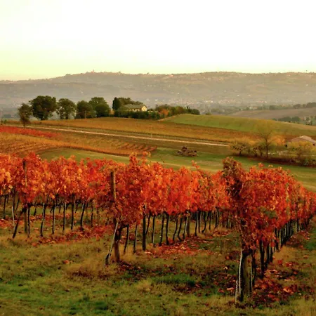 Luxurious Mansion With Private Garden In Montecassiano