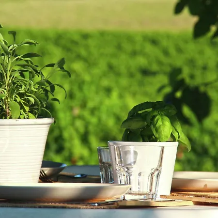 بيت للعطل Luxurious Mansion With Private Garden In Montecassiano *